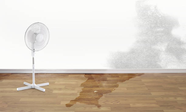 Best Emergency water damage restoration  in Upper Greenwood Lake, NJ