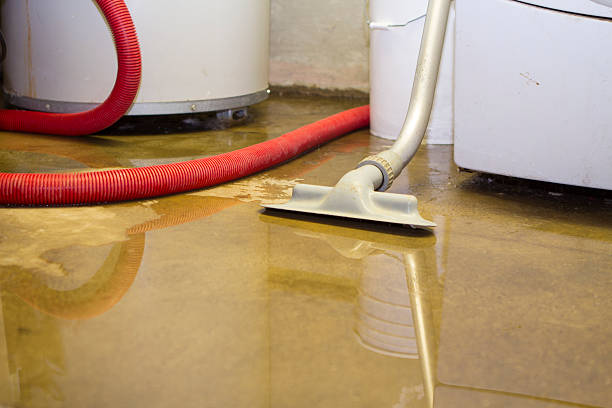 Best Flood damage cleanup  in Upper Greenwood Lake, NJ