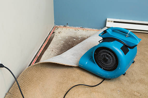 Best Water damage contractors near me  in Upper Greenwood Lake, NJ